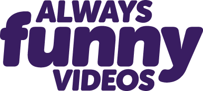 Always Funny Videos