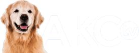 AKC TV